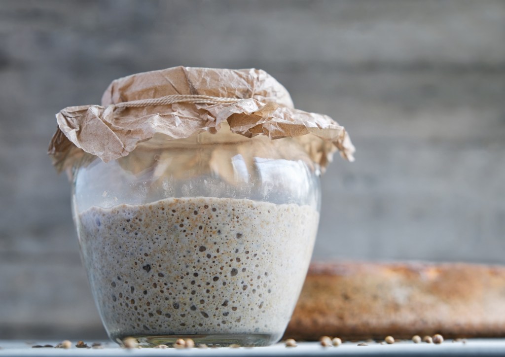 Discovering the allure of a sourdough starter